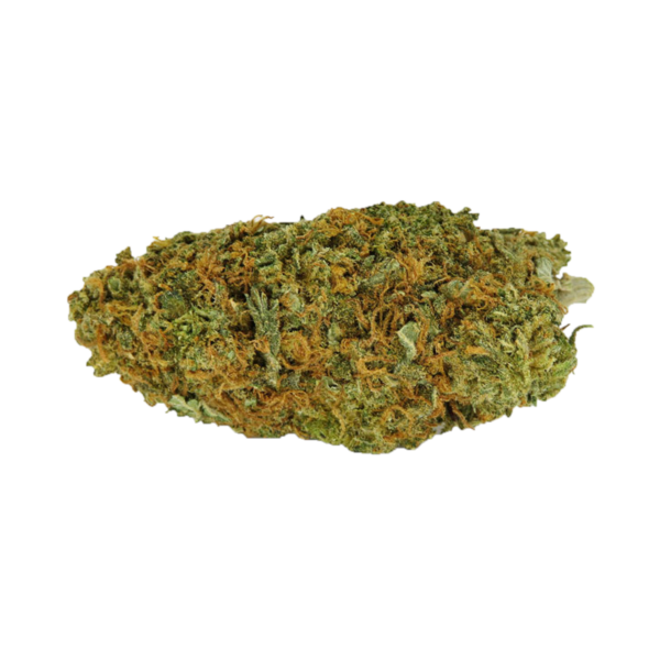 Buy Scout Master weed online