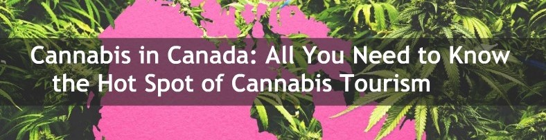 cannabies canada all you need to know 1