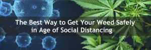 buy weed online canada 2020