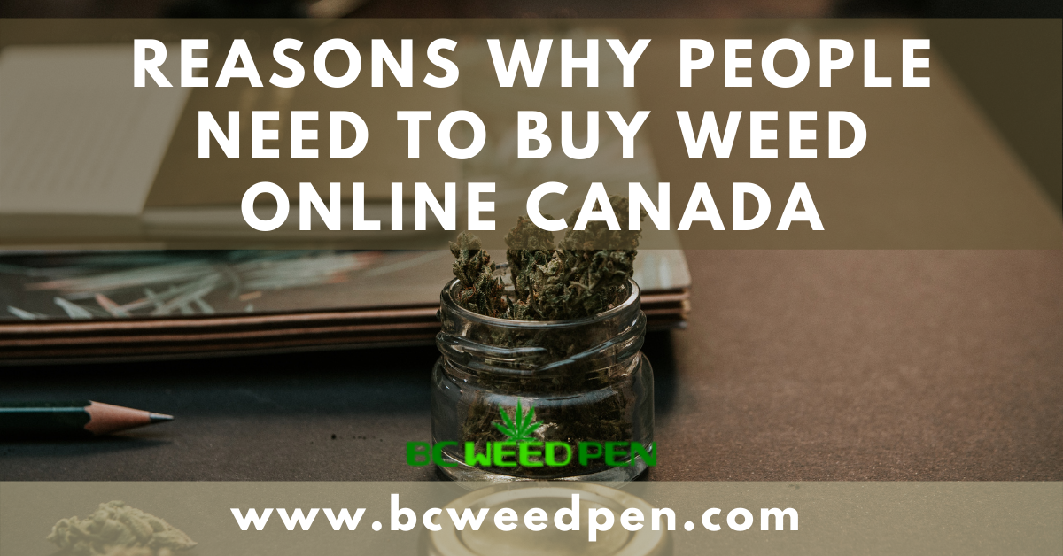Reasons Why People Need To Buy Weed Online Canada