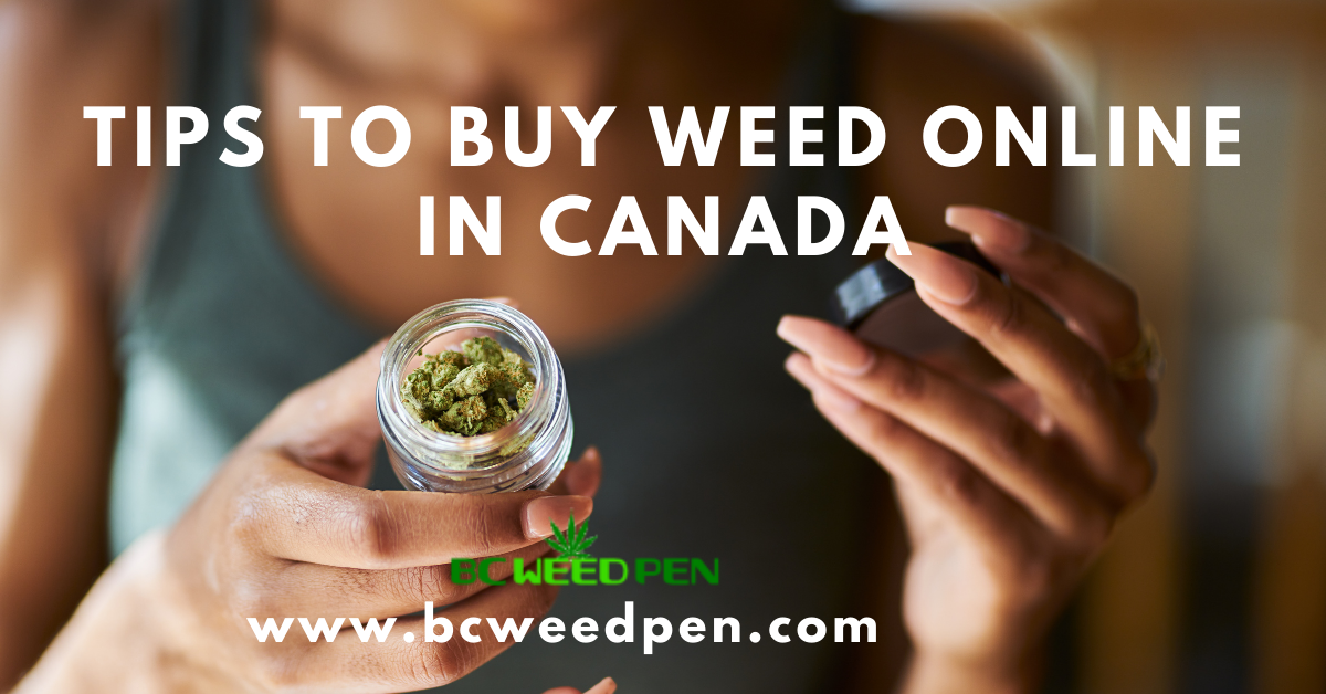 Tips to Buy Weed Online in Canada