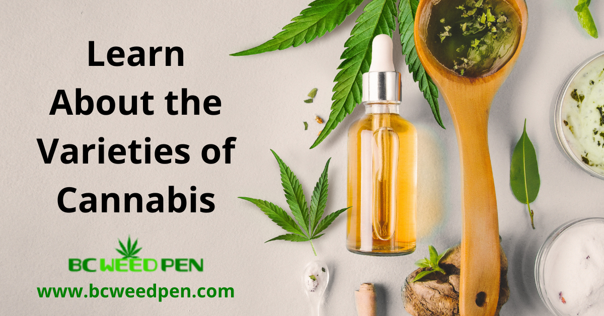 Learn About the Varieties of Cannabis