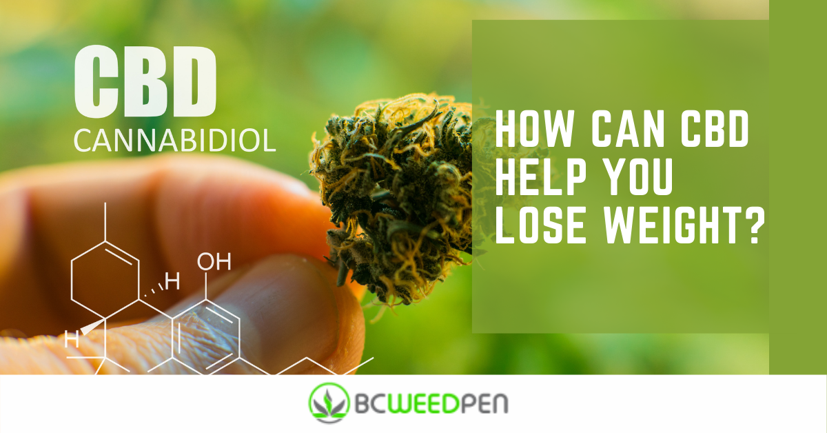 How can CBD help you lose weight_