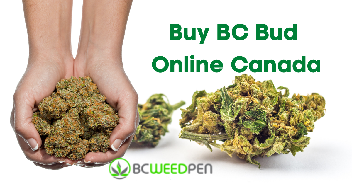 Buy BC Bud Online Canada