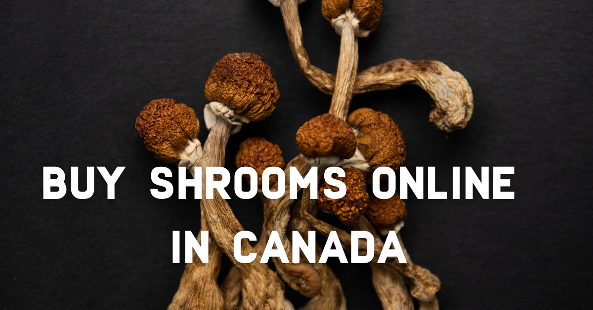 Buy Shrooms Online Canada