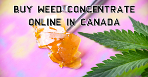 Buy Weed Concentrate Online in Canada