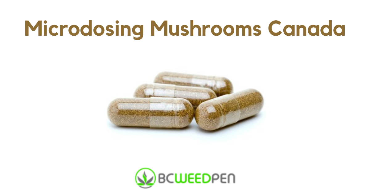 Microdosing Mushrooms Canada